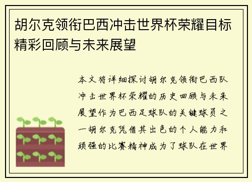 胡尔克领衔巴西冲击世界杯荣耀目标精彩回顾与未来展望