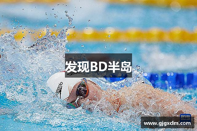 发现BD半岛